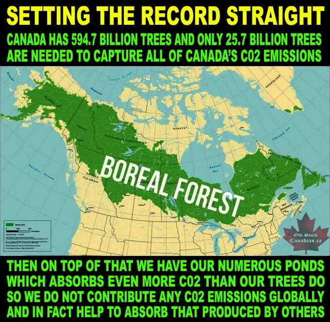 Boreal Forests